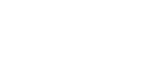 Wadhwani Foundation
